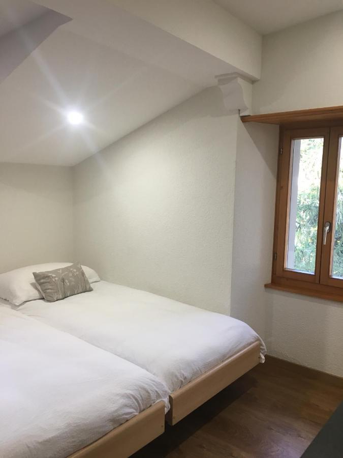 La Dent-Du-Midi Hotel & Restaurant 圣莫里斯 外观 照片